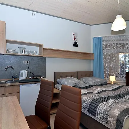 ホームステイ I 