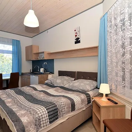 ホームステイ I 